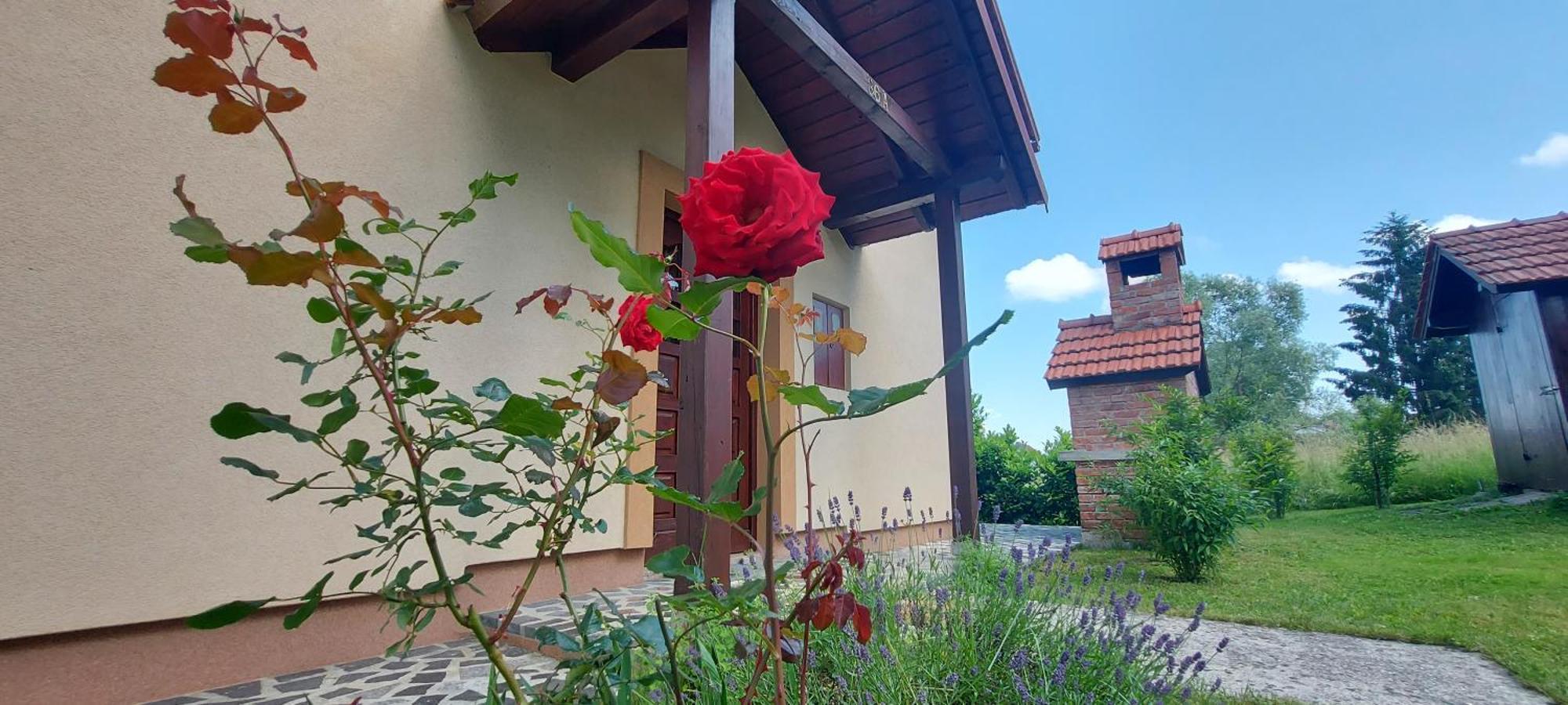 Holiday House And Apartments Vale دوغا غيسا المظهر الخارجي الصورة